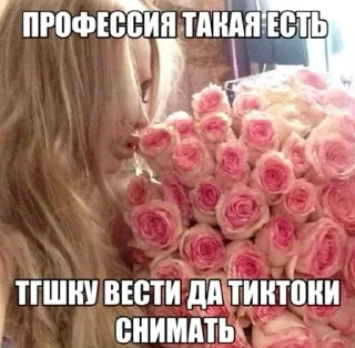 😻 emoji кисунь, это бимбо Telegram sticker 23 of 45
