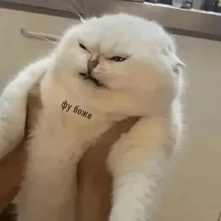 Sticker from Дізморальщина