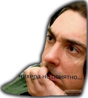 🤨 emoji Шуты Telegram sticker 13 of 27