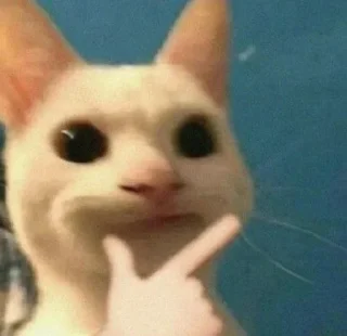 Sticker from Котео