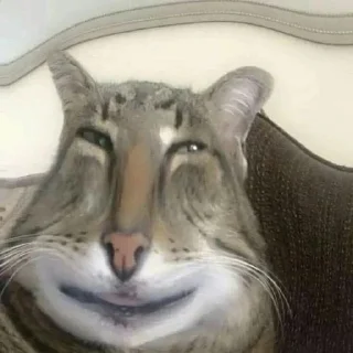 Sticker from Котео