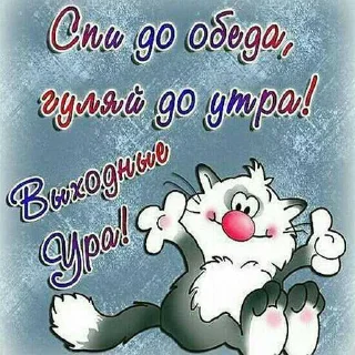 😁 emoji сашена каша ➡️ @Ctikerubot Telegram sticker 19 of 33