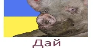 Sticker from ДАЙ 🇺🇦🇺🇦🇺🇦
