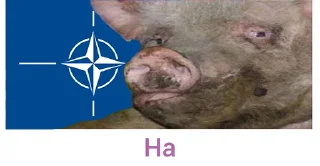 Sticker from ДАЙ 🇺🇦🇺🇦🇺🇦