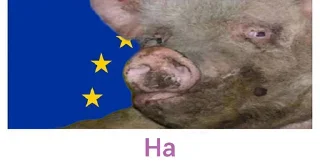 Sticker from ДАЙ 🇺🇦🇺🇦🇺🇦