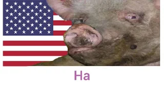 Sticker from ДАЙ 🇺🇦🇺🇦🇺🇦