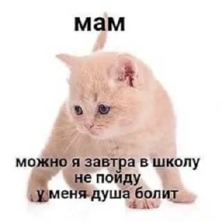 Sticker from бамс