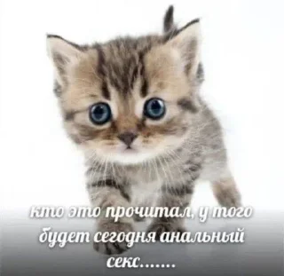 Sticker from бамс