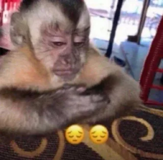 😔 emoji макаки Telegram sticker 11 of 21