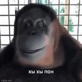 🌟 emoji наиболее обезьяны Telegram sticker 7 of 57