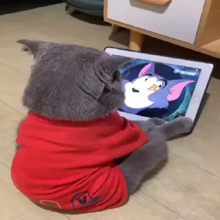 🐈 emoji Video Favorite stickers Telegram sticker 6 of 15