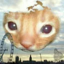 😿 emoji Деловой Сыр Telegram sticker 6 of 120