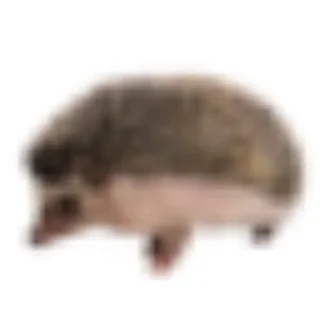 🦔 emoji Просроченный сыр Telegram sticker 6 of 22