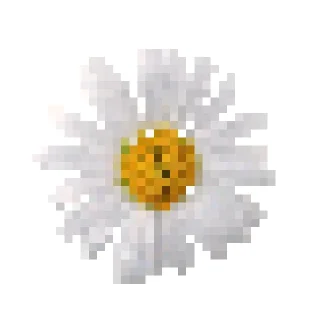 🌼 emoji Просроченный сыр Telegram sticker 8 of 22