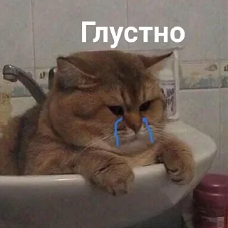 ❤️‍🩹 emoji Ебанный сыр Telegram sticker 24 of 60