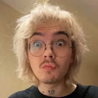 😯 emoji ВУЛЬФ-ТЕМА Telegram sticker 16 of 120