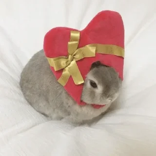 ❤️ emoji кролики! Telegram sticker 9 of 11