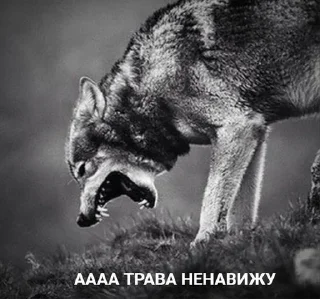 🔥 emoji пукнул Telegram sticker 10 of 90