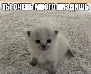 🔥 emoji пукнул Telegram sticker 6 of 90