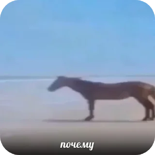 🐎 emoji пукнул Telegram sticker 11 of 90