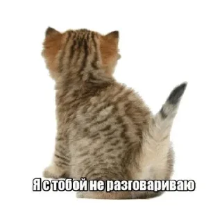 🔥 emoji пукнул Telegram sticker 7 of 90