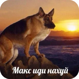 🐶 emoji пукнул Telegram sticker 23 of 90