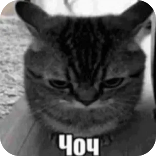 🐱 emoji пукнул Telegram sticker 20 of 90