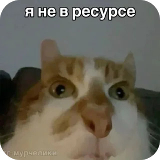 🐱 emoji пукнул Telegram sticker 17 of 90