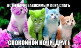 Sticker from котики