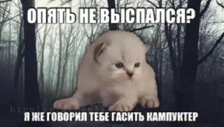 Sticker from котики