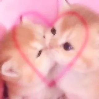 💗 emoji Люблю кушать и тебя Telegram sticker 3 of 32