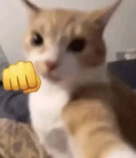 👊 emoji 𝗖𝗔𝗧𝗦 (💭) @SNOVVVY Telegram sticker 9 of 82