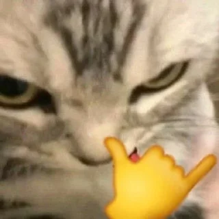 😼 emoji 𝗖𝗔𝗧𝗦 (💭) @SNOVVVY Telegram sticker 11 of 82