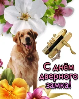Sticker from Congratulations @TVstickers