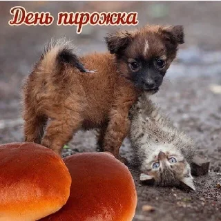 Sticker from С днём