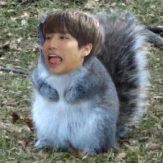 🐿 emoji hannie.) Telegram sticker 8 of 31