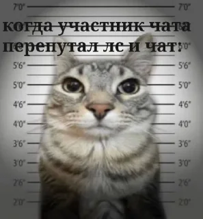 Sticker from Мемчики @Fapixin