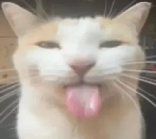 🐱 emoji мои стикоры @capy213 Telegram sticker 17 of 120