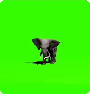 🏅 emoji мои стикоры @capy213 Telegram sticker 15 of 120