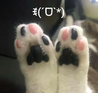 💓 emoji типикал me, so basic :3 Telegram sticker 18 of 114