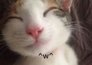 ☺️ emoji типикал me, so basic :3 Telegram sticker 19 of 114