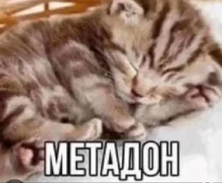 Sticker from MegaBibidos