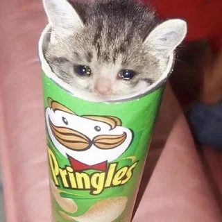 Sticker from S A D  C A T