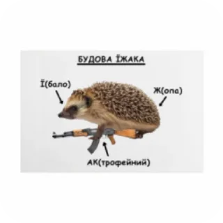Sticker from Бішані їжаки