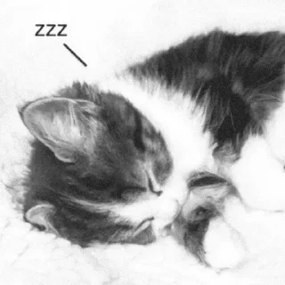 😴 emoji котики🤍 Telegram sticker 15 of 61