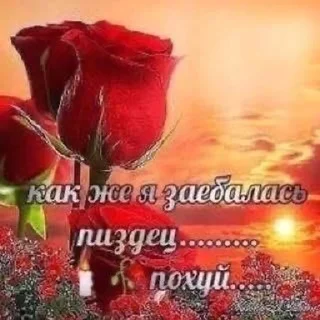 Sticker from А КАМИЛА БОБР @moonhydrangea