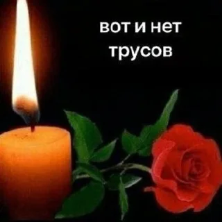 Sticker from А КАМИЛА БОБР @moonhydrangea