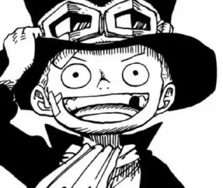 Sticker from One piece