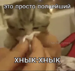 Sticker from Жизн