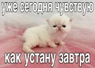Sticker from Жизн